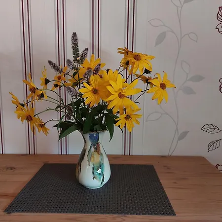 Im Ostseebad Schoenberg Nahe Schoenberger Ostsee Self-check-in Appartement